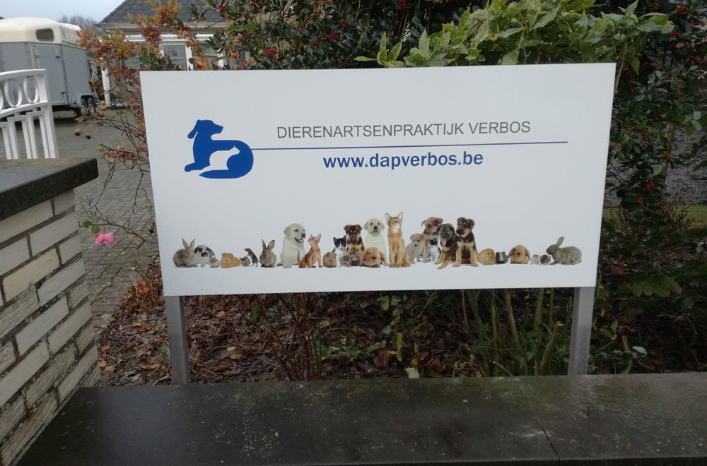 dibond DAP VerBos
